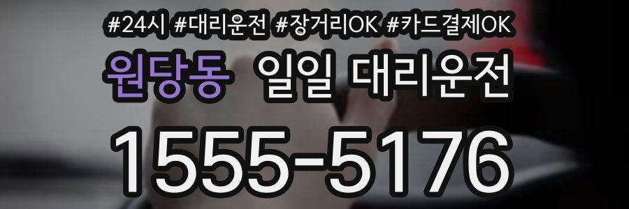 원당동 일일 대리운전