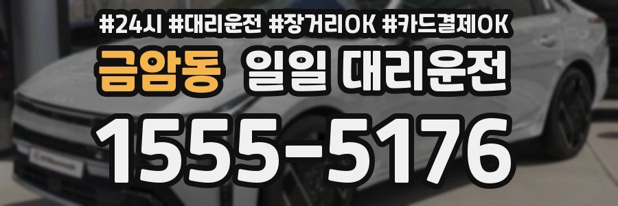 금암동 일일 대리운전