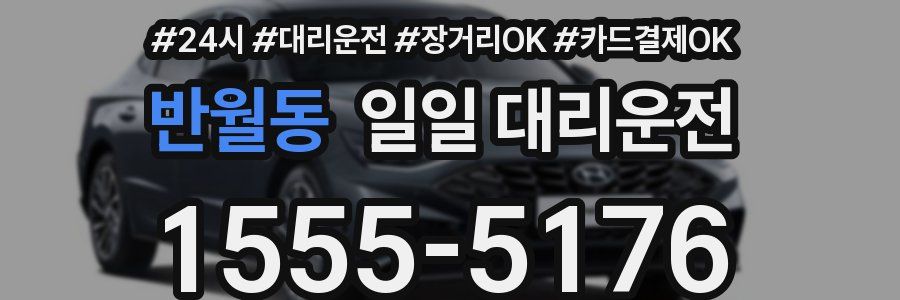 반월동 일일 대리운전