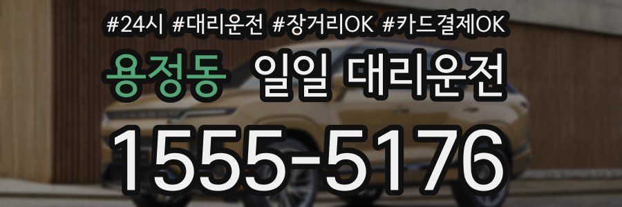 용정동 일일 대리운전