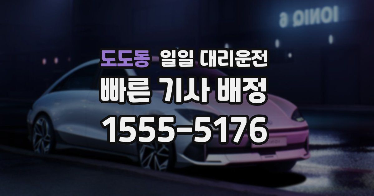 도도동 일일 대리운전