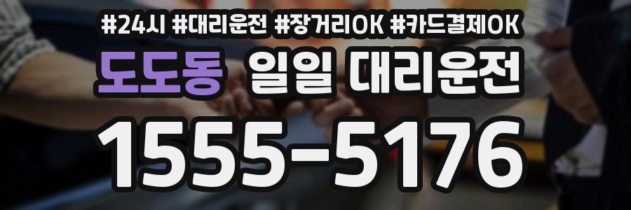 도도동 일일 대리운전