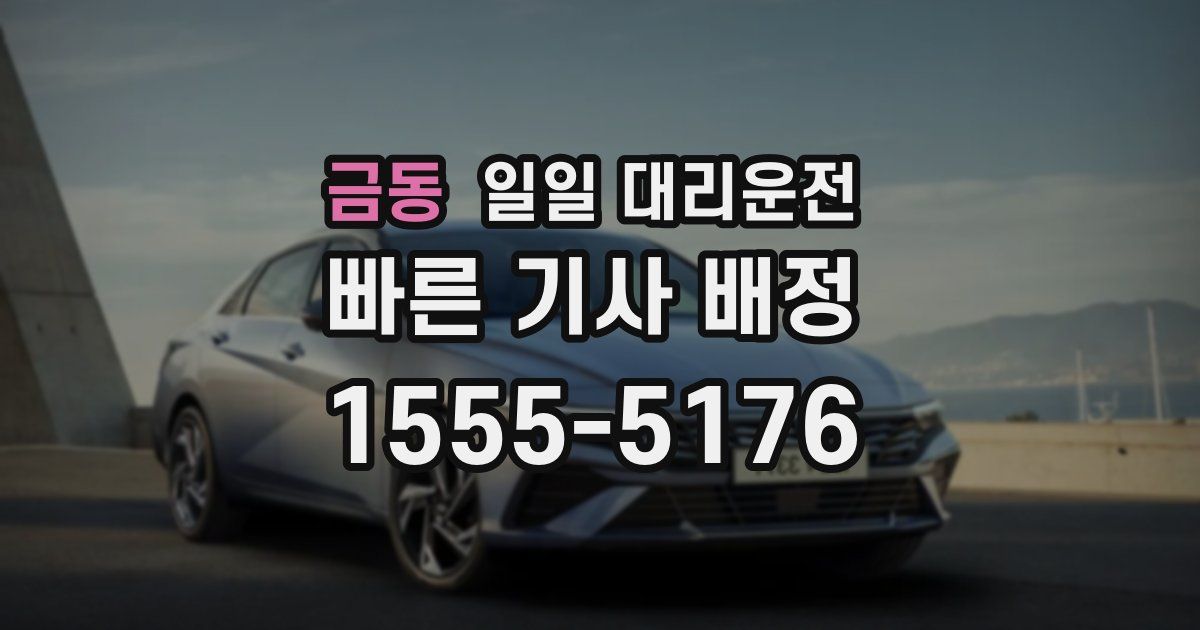 금동 일일 대리운전