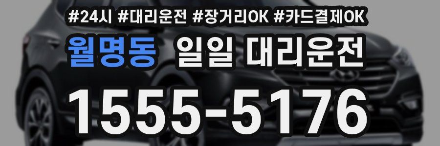 월명동 일일 대리운전