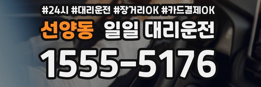 선양동 일일 대리운전