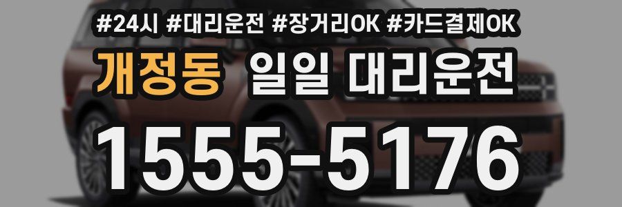 개정동 일일 대리운전