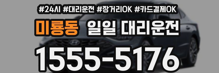 미룡동 일일 대리운전