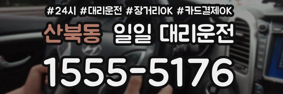 산북동 일일 대리운전