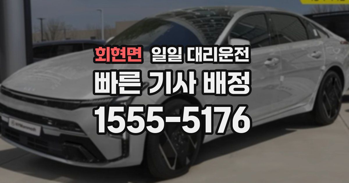 회현면 일일 대리운전
