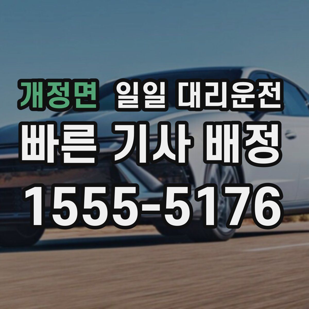개정면 일일 대리운전