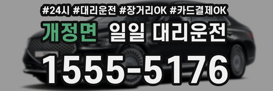 개정면 일일 대리운전