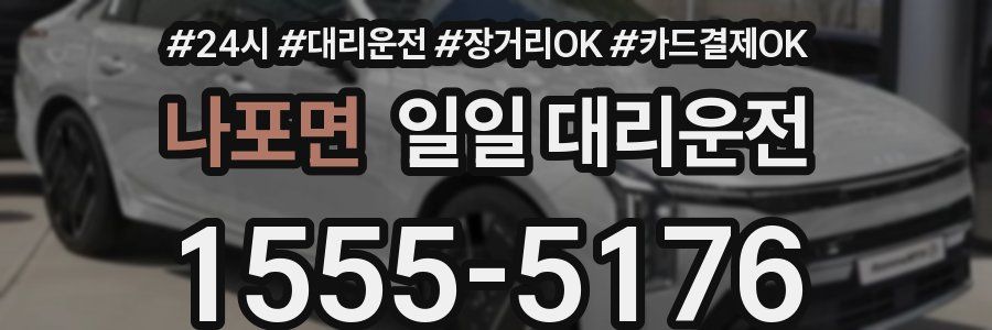 나포면 일일 대리운전