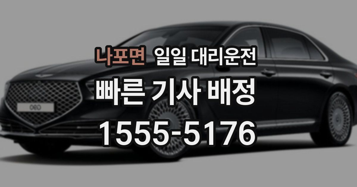나포면 일일 대리운전