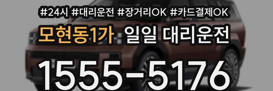 모현동1가 일일 대리운전
