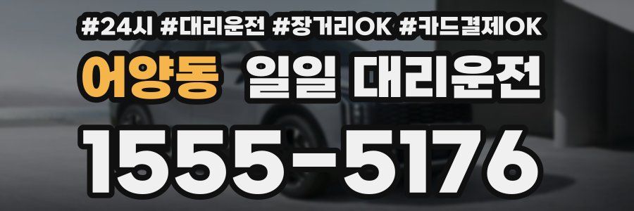 어양동 일일 대리운전