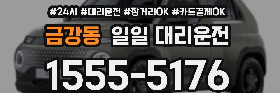 금강동 일일 대리운전