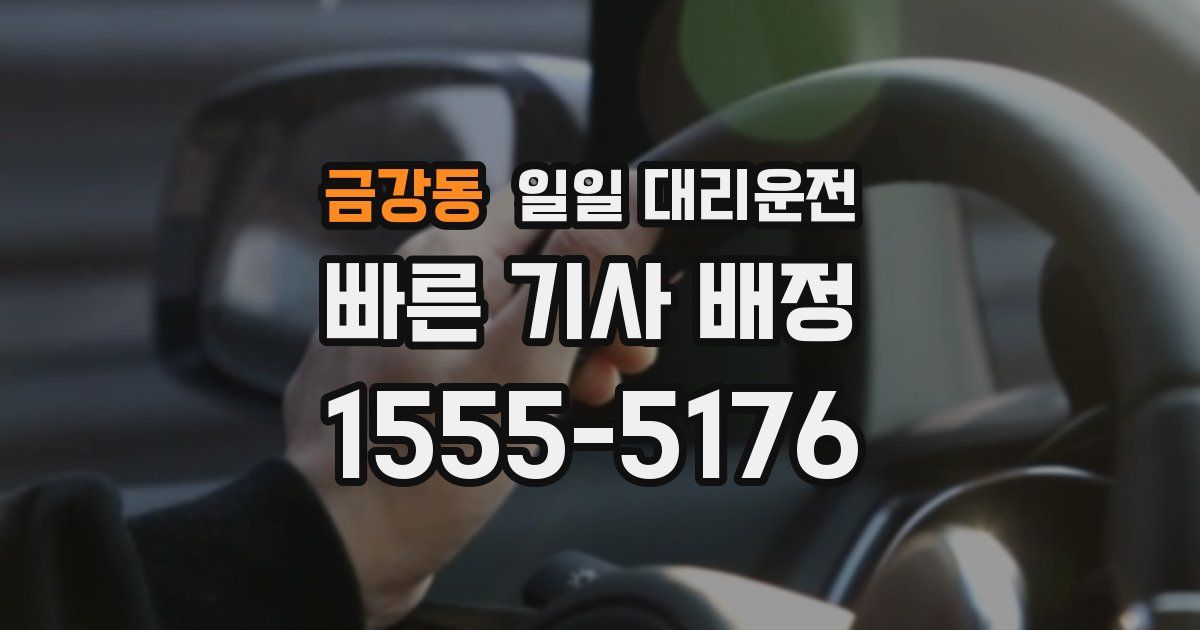금강동 일일 대리운전