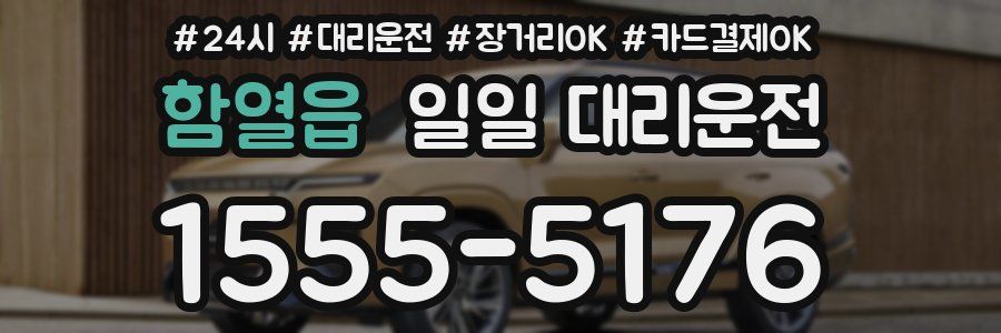 함열읍 일일 대리운전
