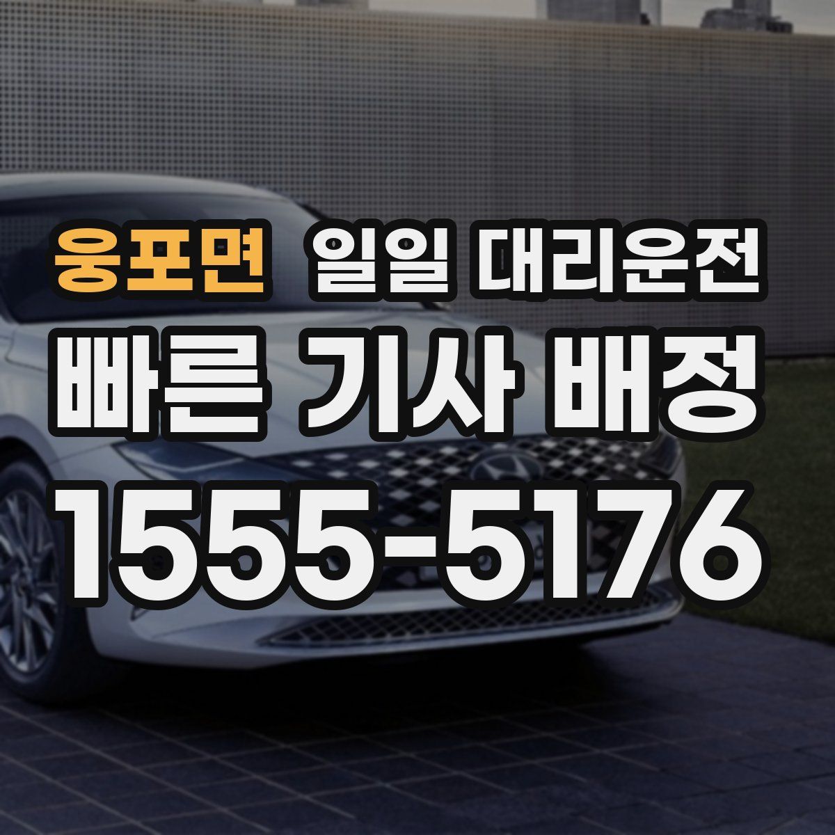 웅포면 일일 대리운전