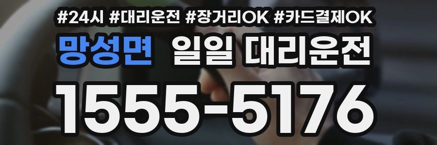 망성면 일일 대리운전