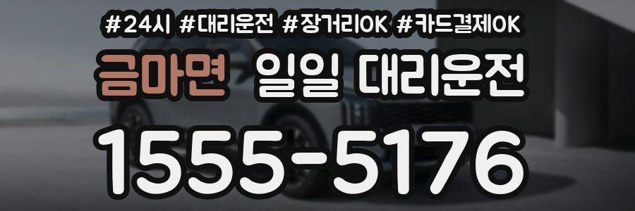 금마면 일일 대리운전