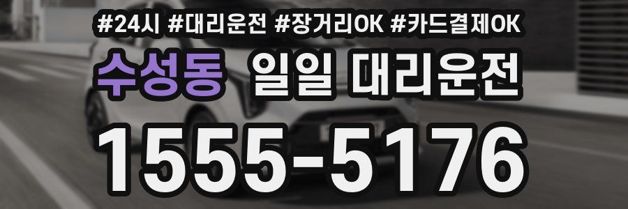 수성동 일일 대리운전