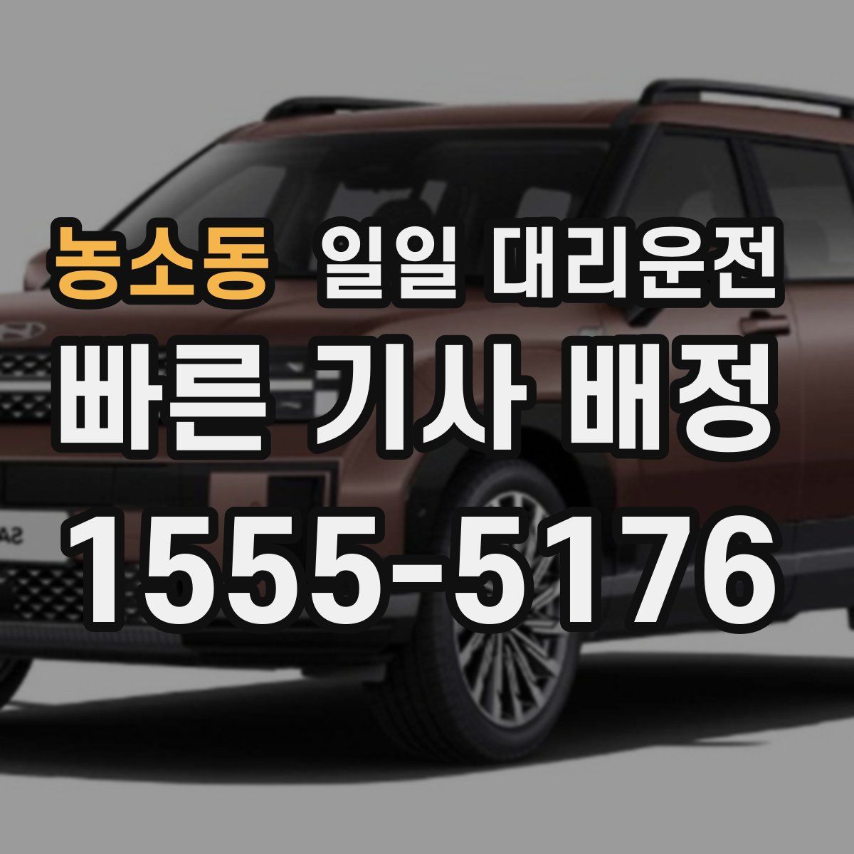 농소동 일일 대리운전