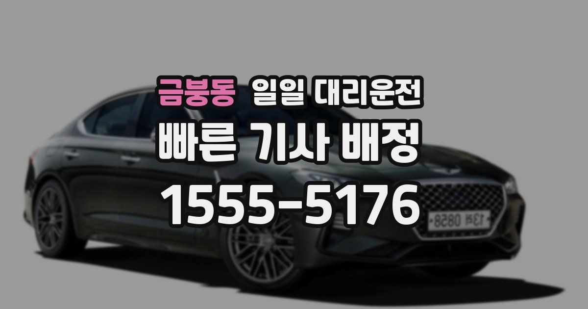 금붕동 일일 대리운전