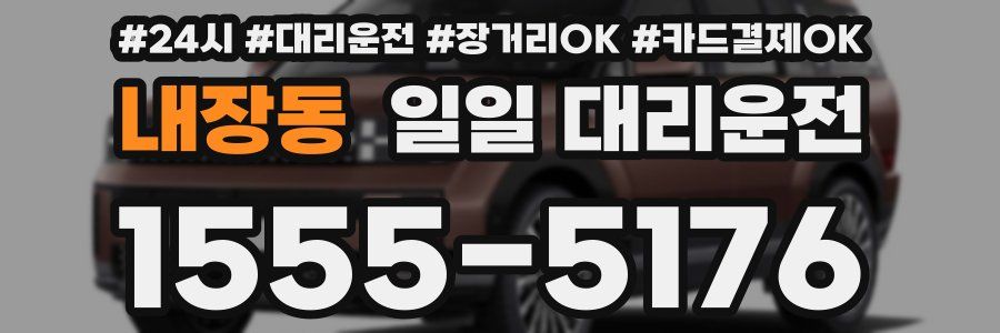 내장동 일일 대리운전