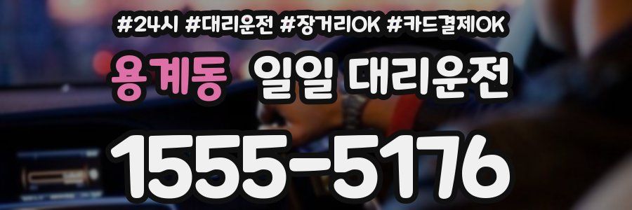 용계동 일일 대리운전