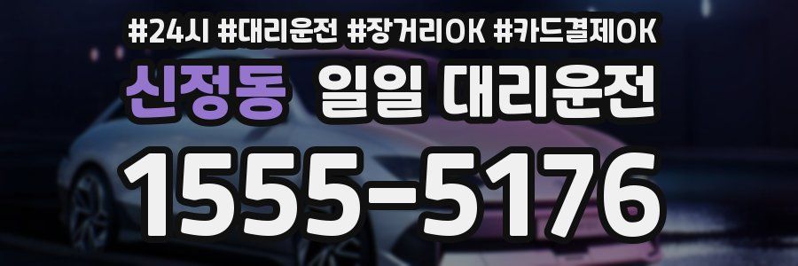 신정동 일일 대리운전