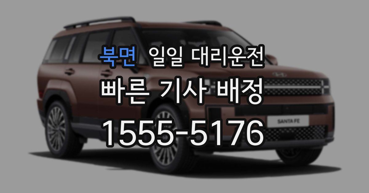 북면 일일 대리운전