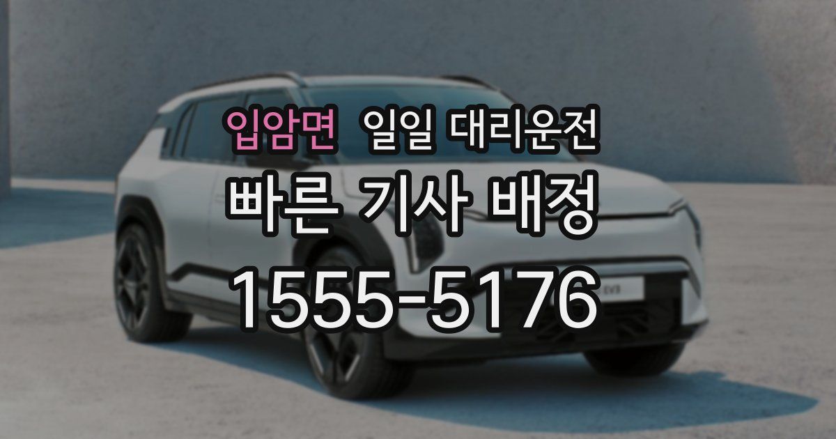 입암면 일일 대리운전