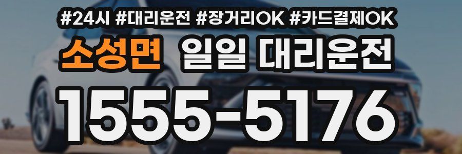 소성면 일일 대리운전