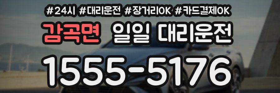 감곡면 일일 대리운전