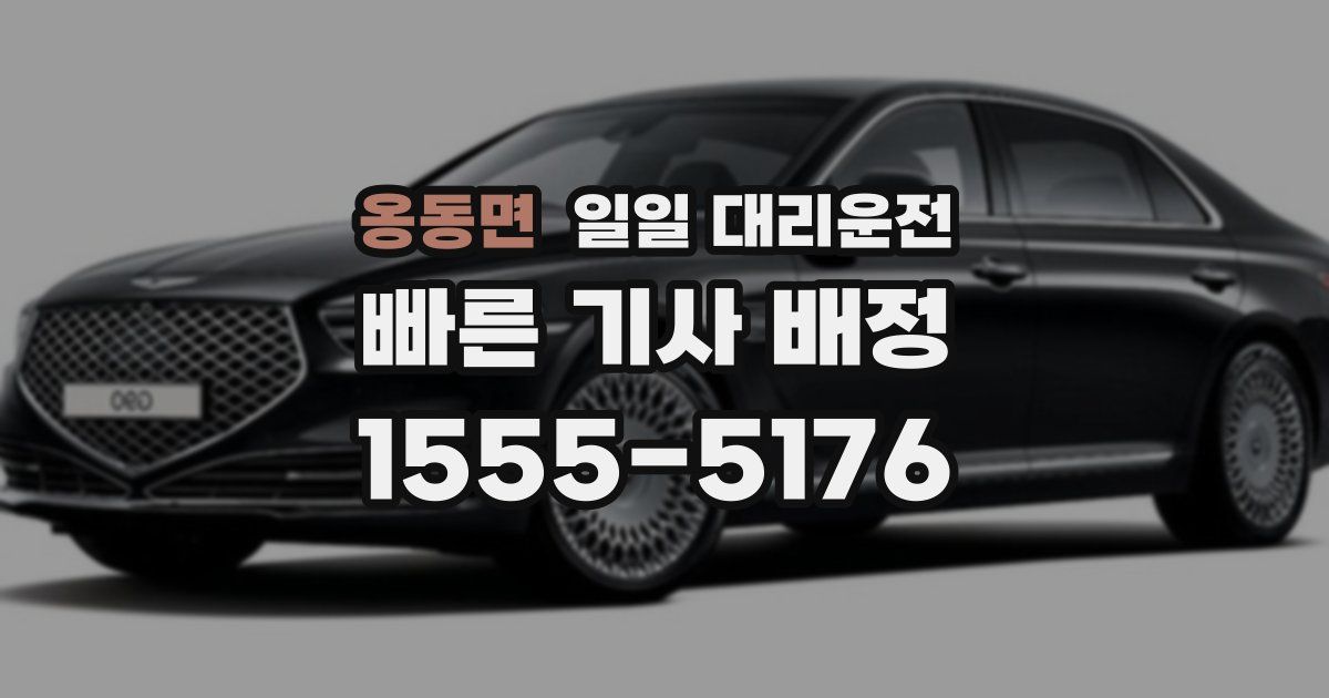 옹동면 일일 대리운전