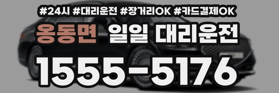 옹동면 일일 대리운전