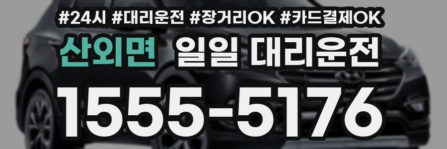 산외면 일일 대리운전