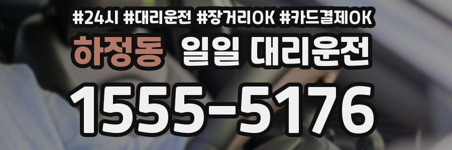 하정동 일일 대리운전