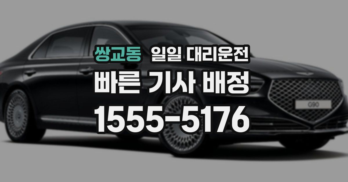 쌍교동 일일 대리운전