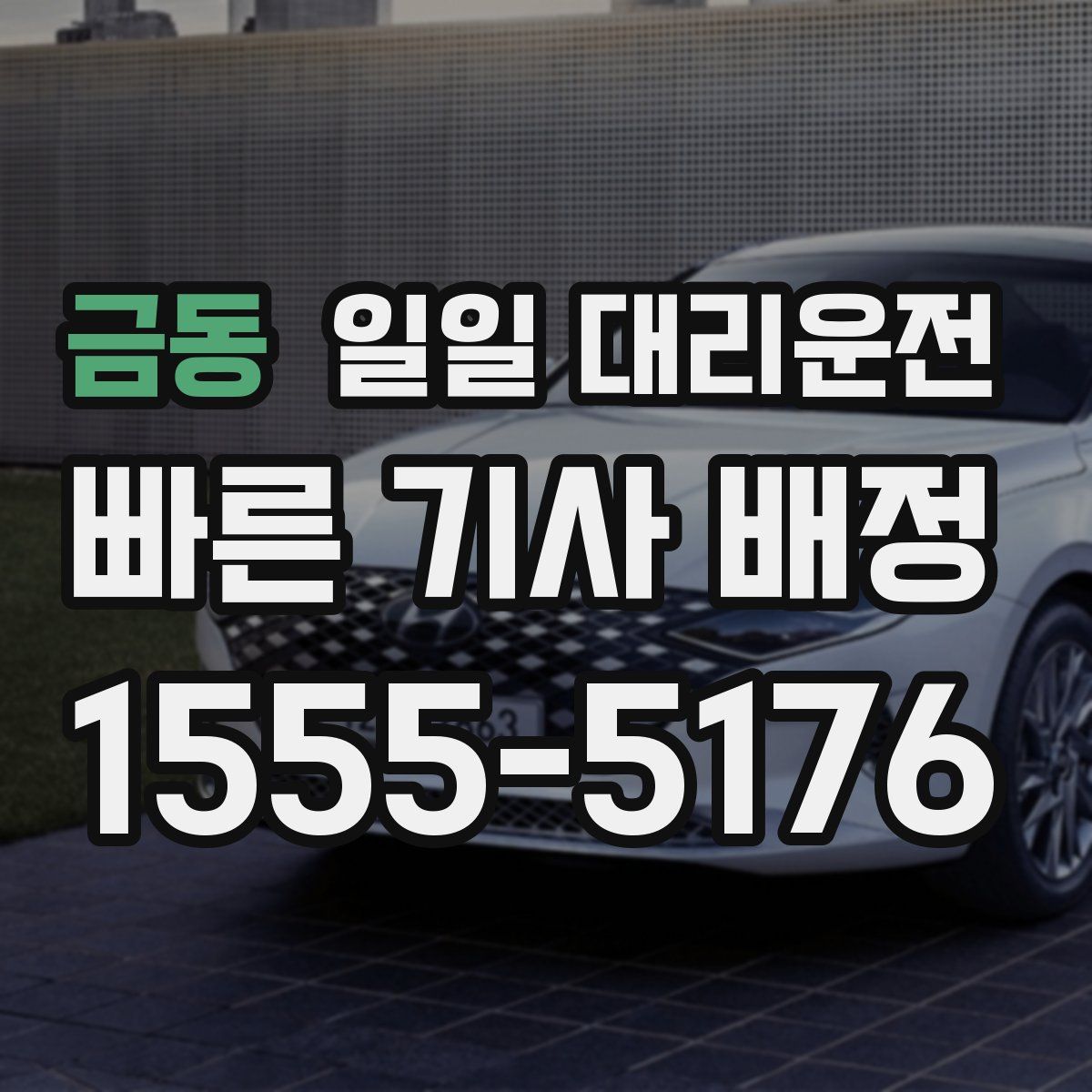 금동 일일 대리운전