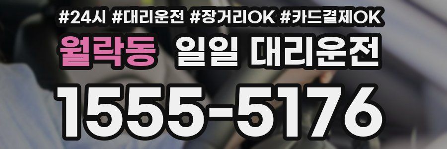 월락동 일일 대리운전