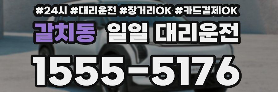 갈치동 일일 대리운전
