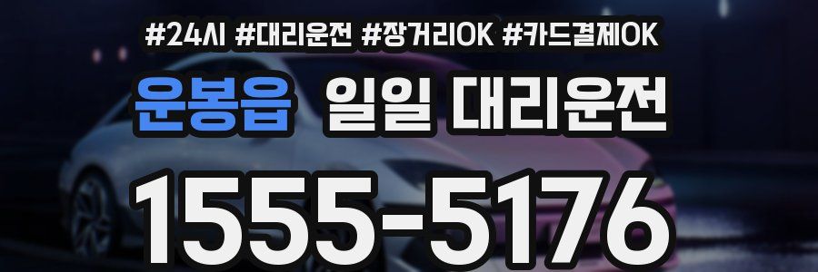 운봉읍 일일 대리운전