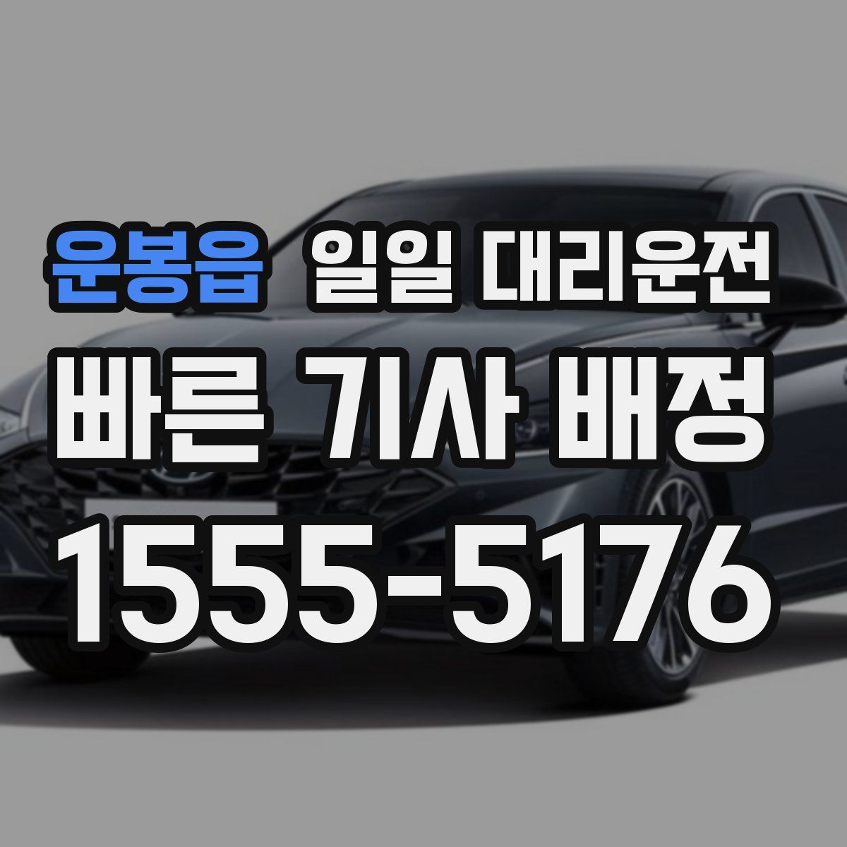운봉읍 일일 대리운전