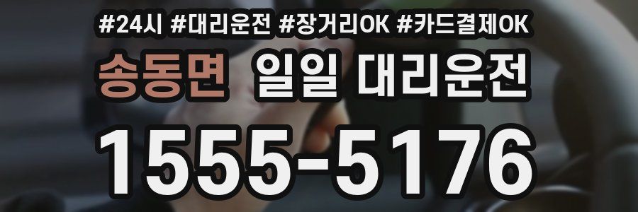 송동면 일일 대리운전