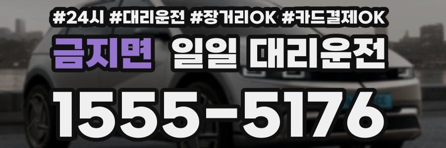 금지면 일일 대리운전