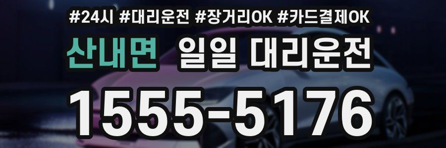 산내면 일일 대리운전