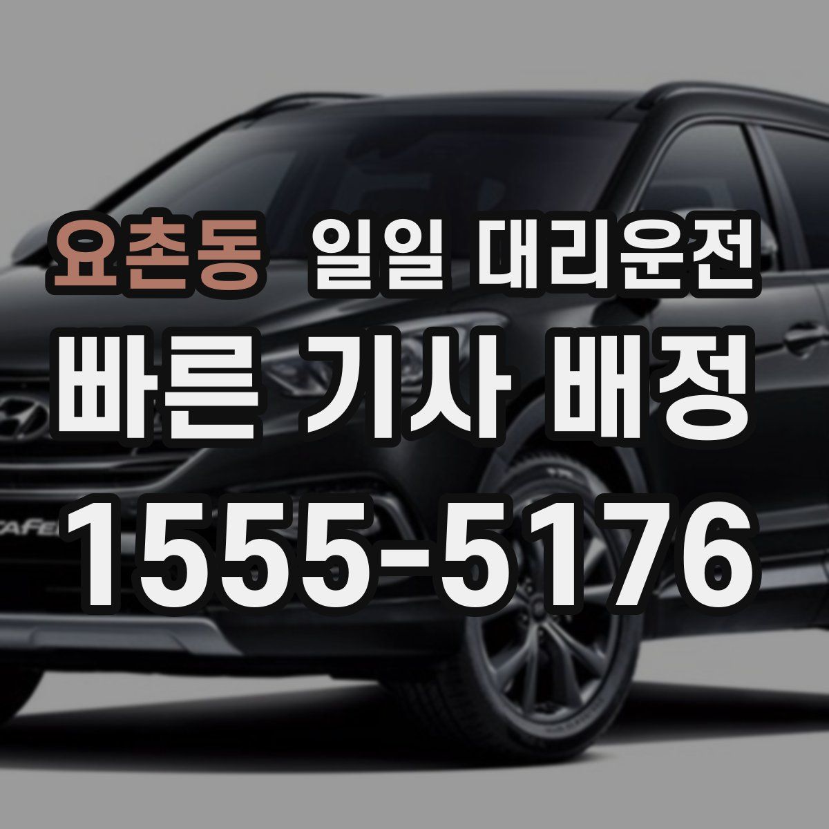 요촌동 일일 대리운전