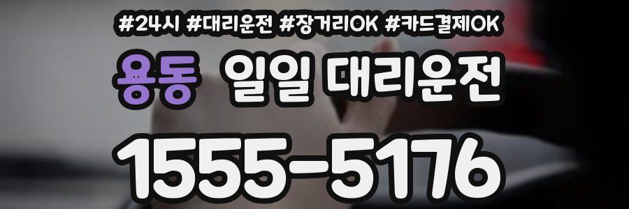 용동 일일 대리운전